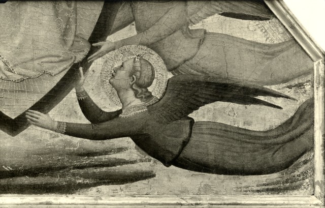 Vasari — Daddi Bernardo - sec. XIV - Assunzione della Madonna: angelo — particolare